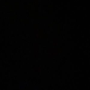 Meet your Posher, Willow